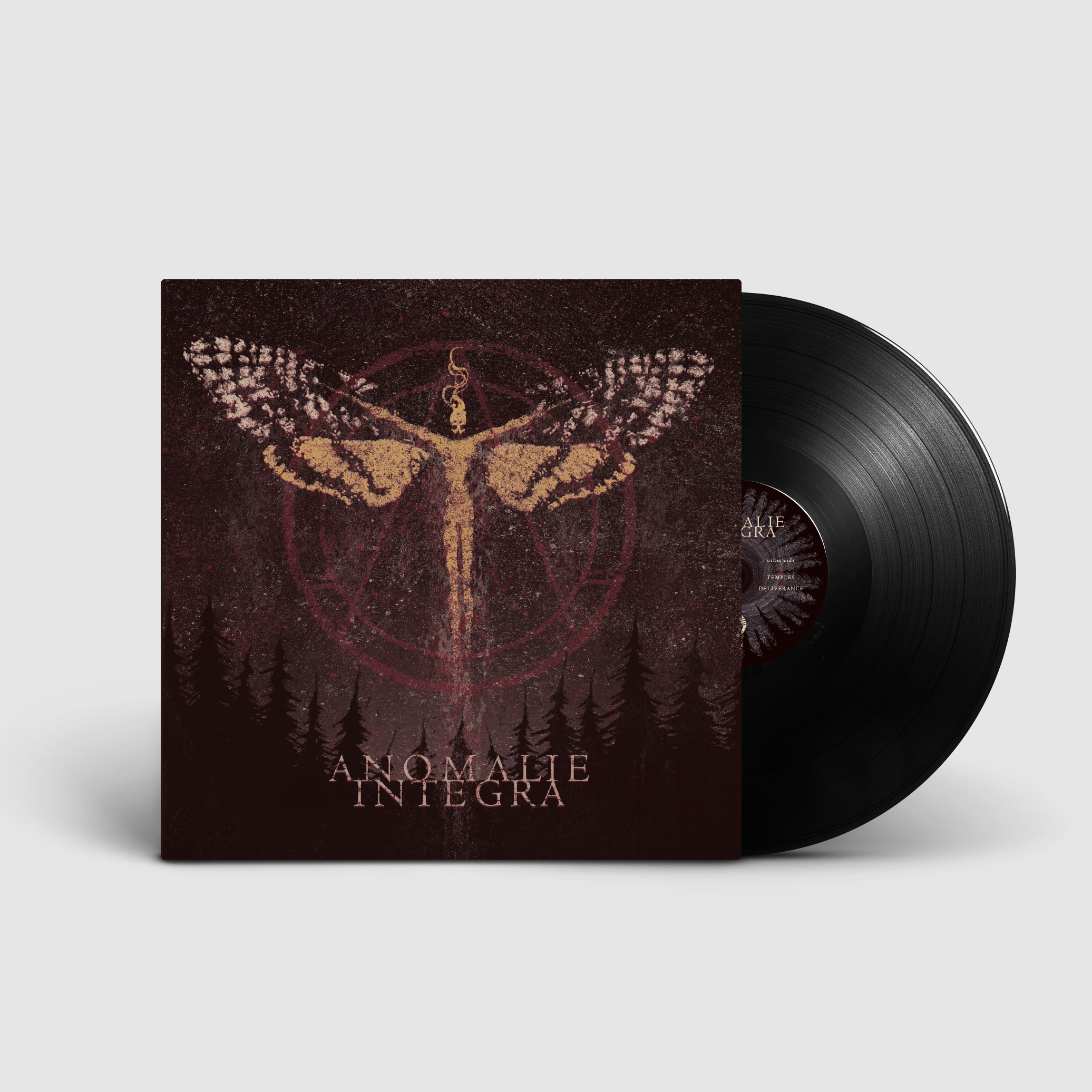 Anomalie-Integra